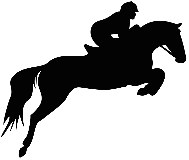 Наездник на лошади