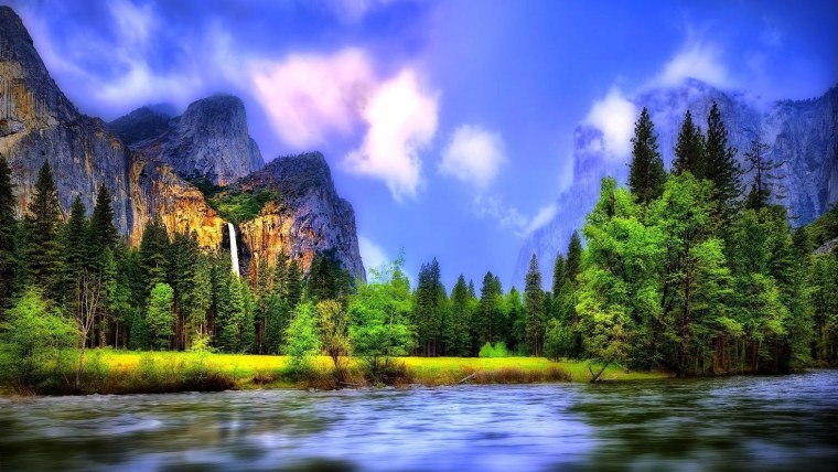 Яркая зеленая природа