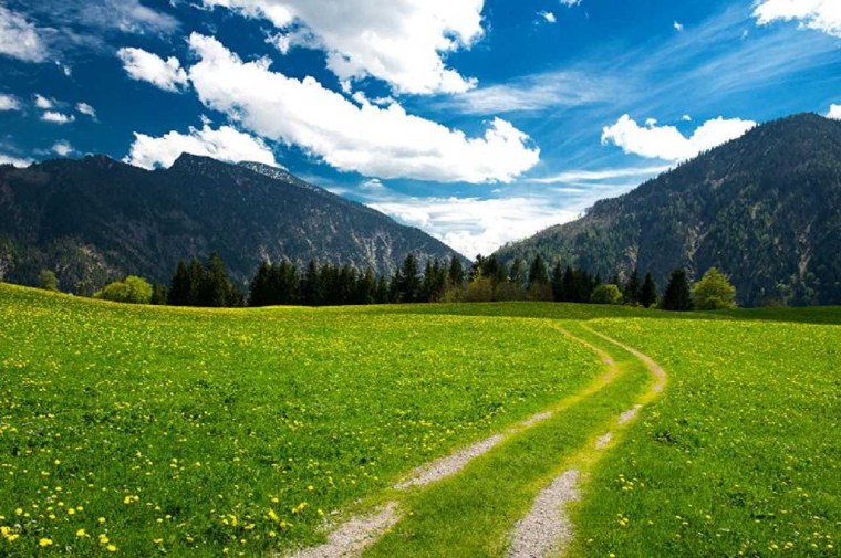 Фотообои лето