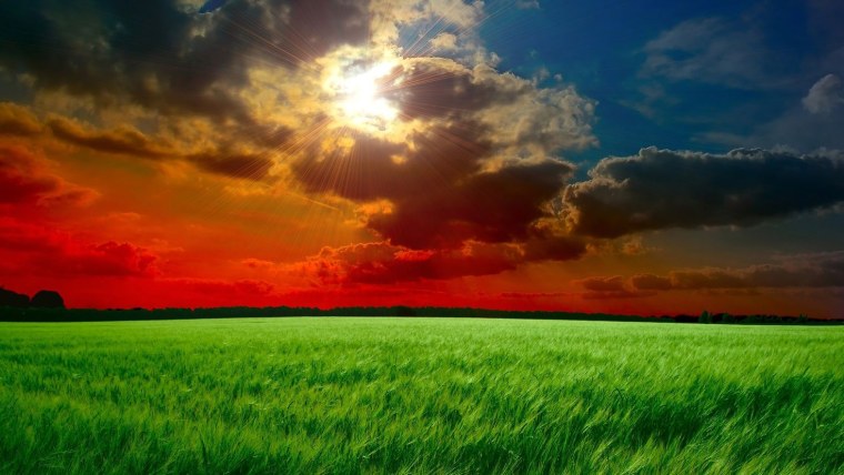 Ночной пляж 4к