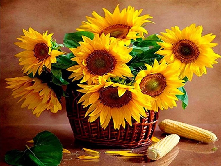 Подсолнухи в корзине