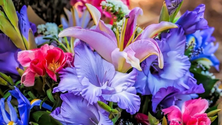 Ирисы и гладиолусы