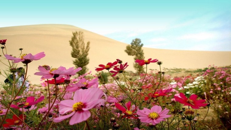 Природа светлая