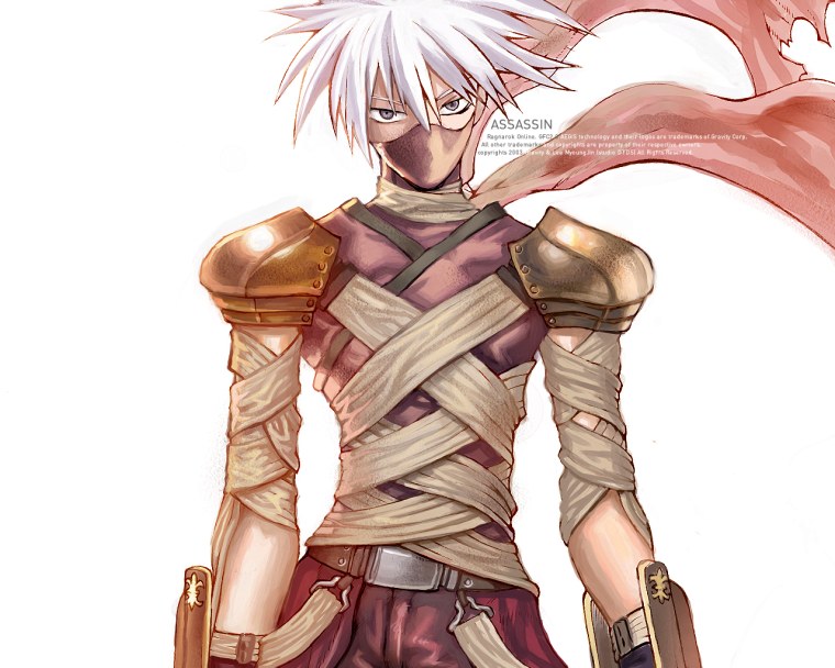 Ассасин кросс РАГНАРОК