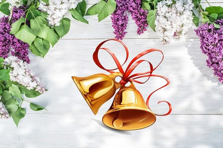 Торжественная линейка последний звонок