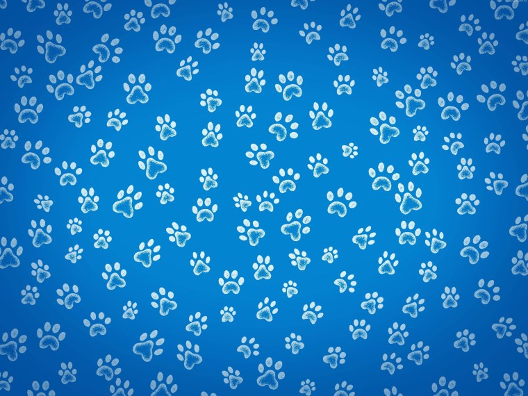 Фон лапки