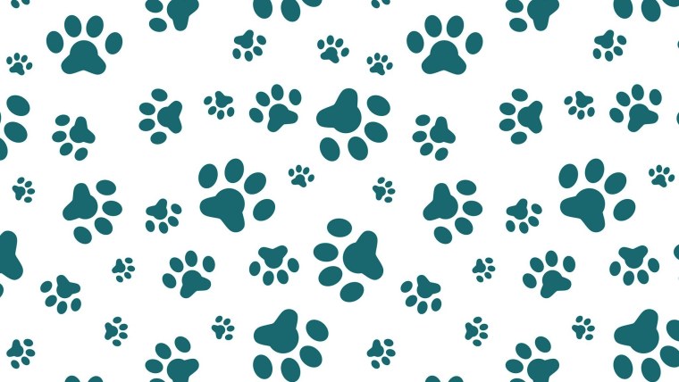 Фон кошачьи лапки