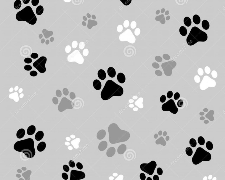 Кошачий фон