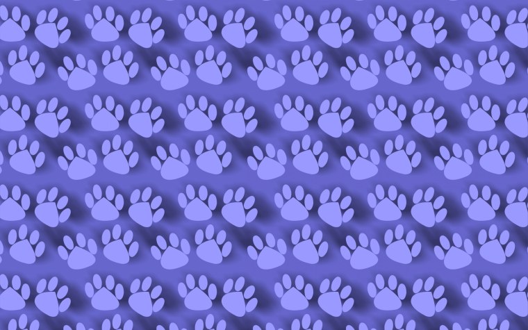 Фон собачьи лапки