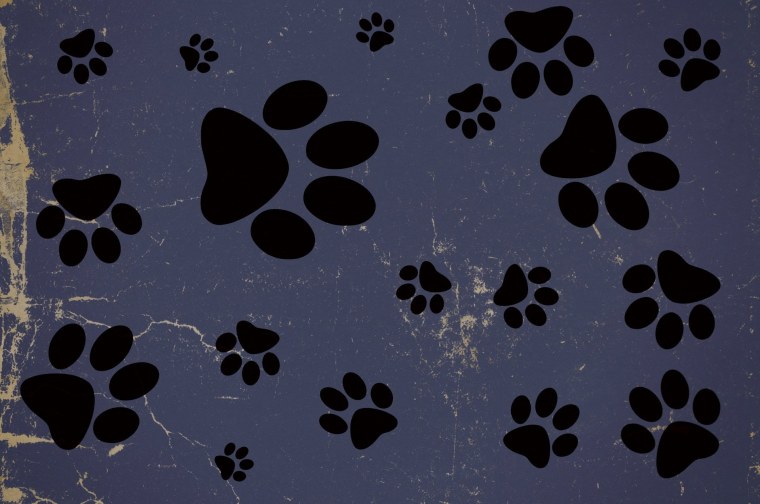 Фон кошачьи следы