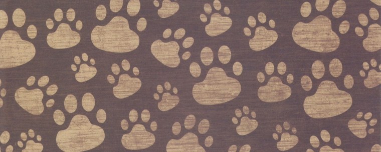 Фон с кошками для фотошопа