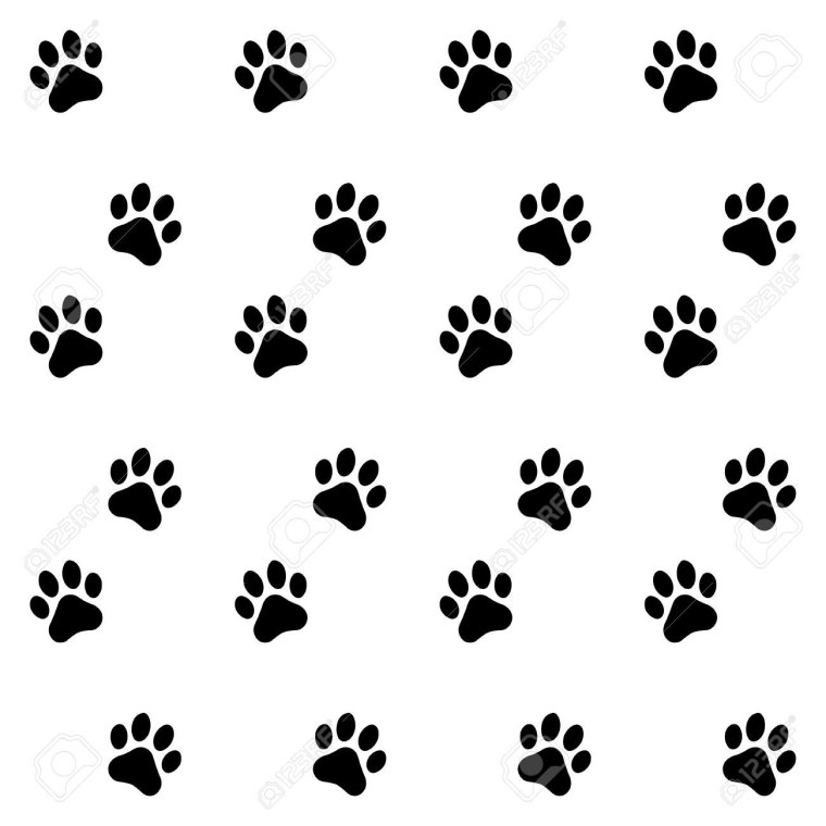 Лапа с красивым фоном