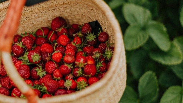 Клубника фото