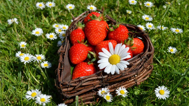 Ромашки и ягоды