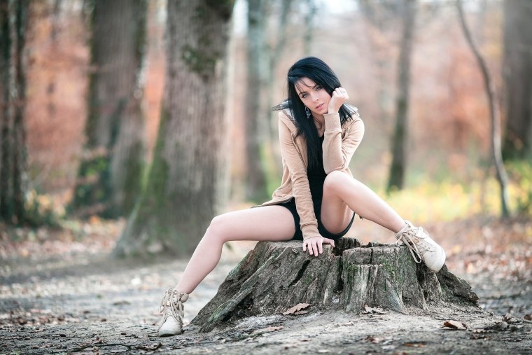 Laurent Kace модель