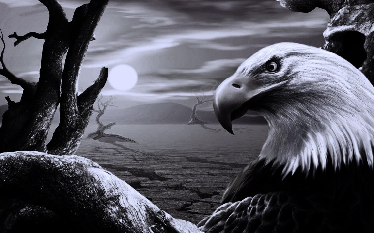 Картинки на рабочий стол Орел