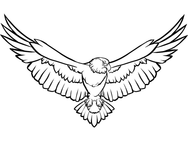 Рисунок орла для срисовки