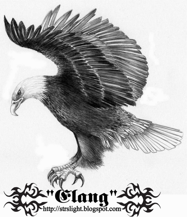 Эскиз Орел профиль