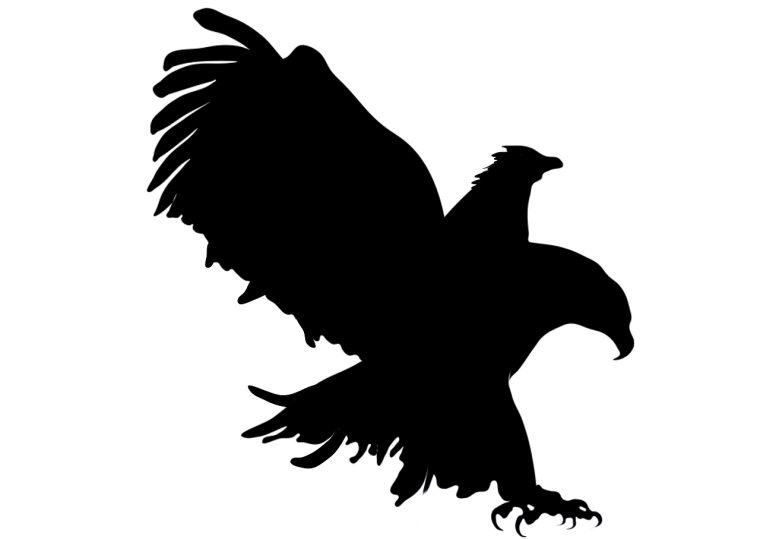 Силуэт коршуна
