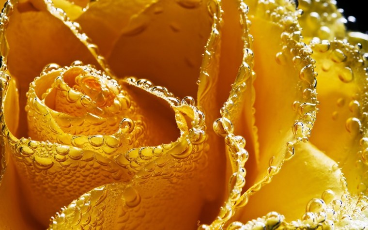 Радужные картинки