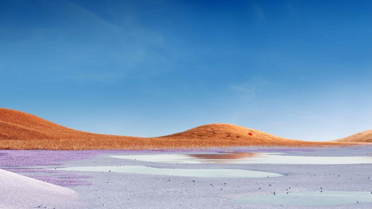 Обои surface Laptop