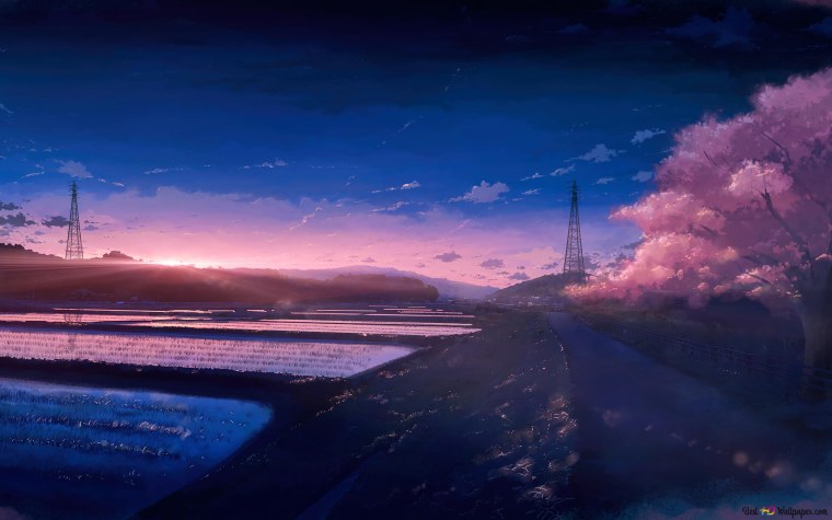 Аниме пейзажи ночь