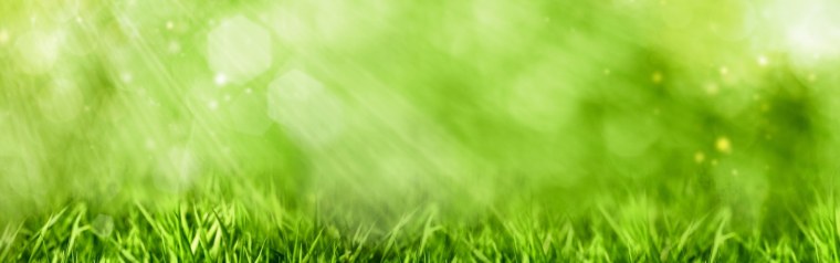 Черно зеленый фон