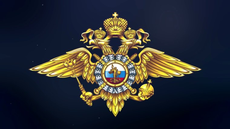 Полиция МВД