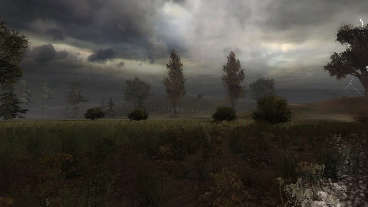 Сталкер в поле