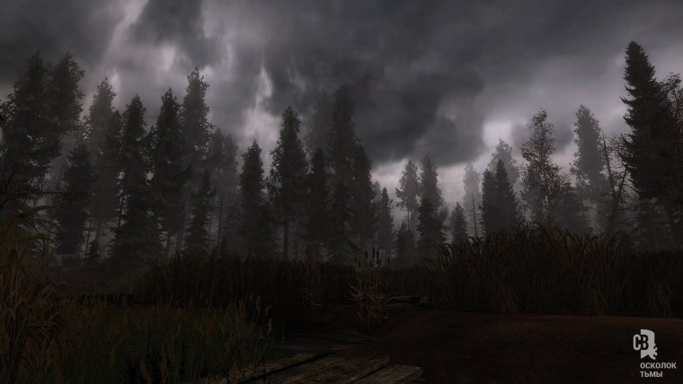 Сталкер Зов Припяти лес