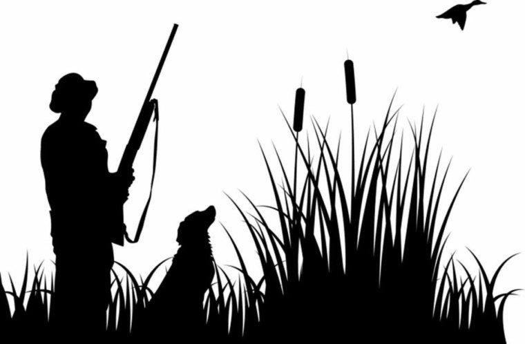 Силуэты Рыбак охотник