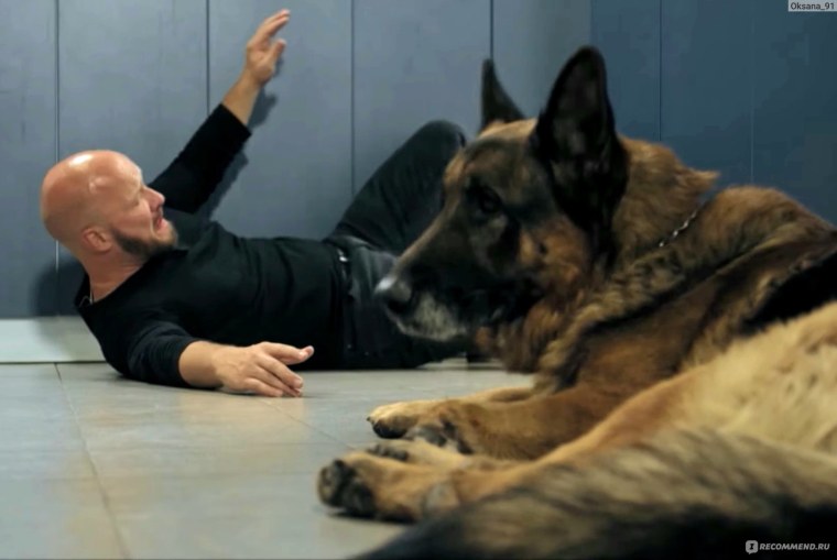 Максим Максимов сериал пес