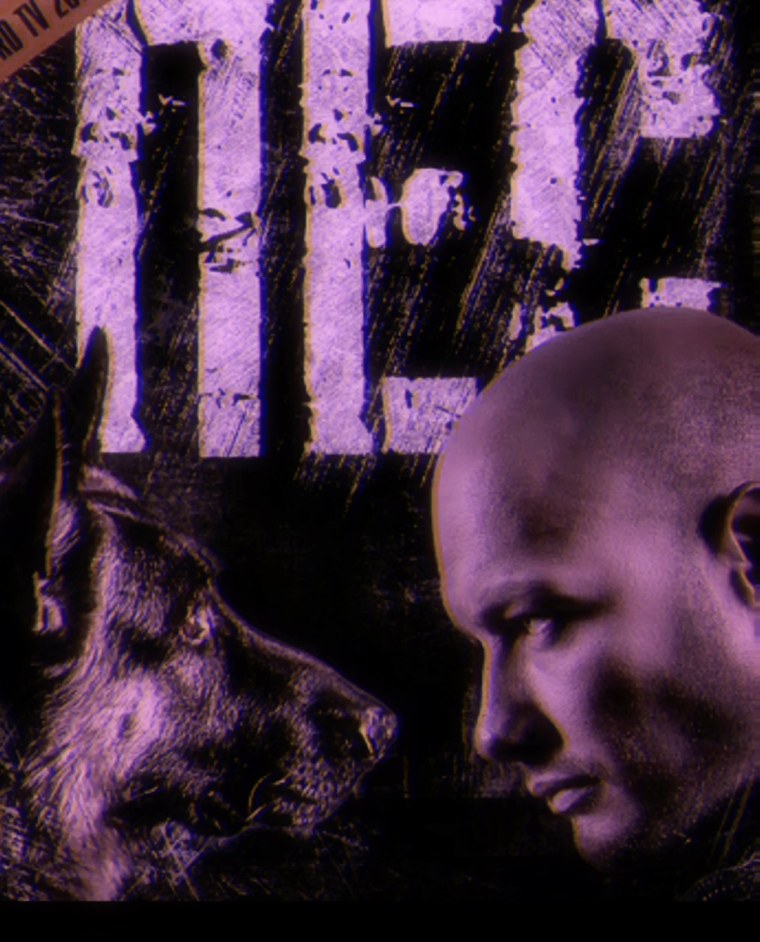 Сериал пёс арты