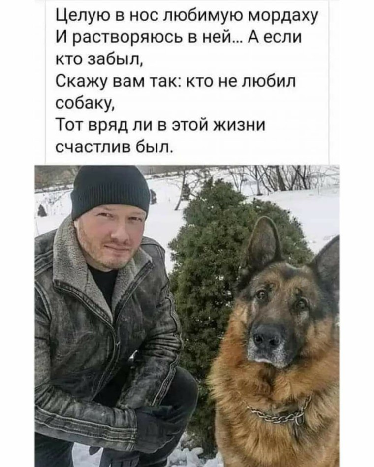 Максим Максимов пес