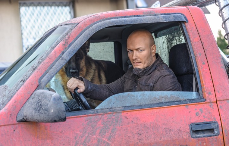 Немецкая овчарка Гюнтер IV