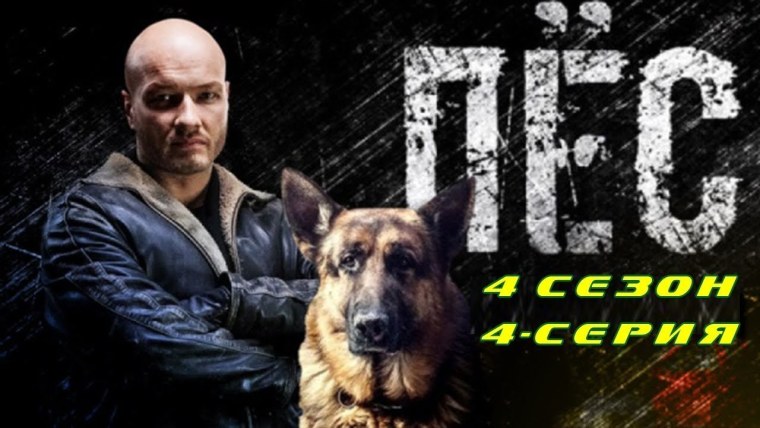 Сериал пёс 6 сезон 1