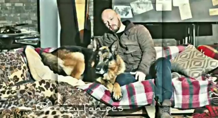 Немецкая овчарка