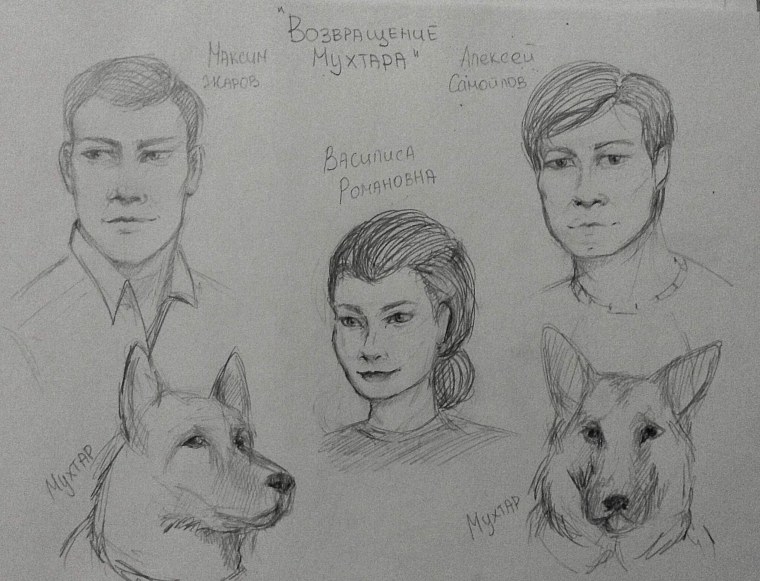 Морда собаки немецкая овчарка