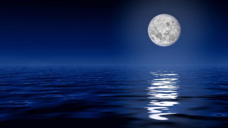 Дерево на фоне Луны