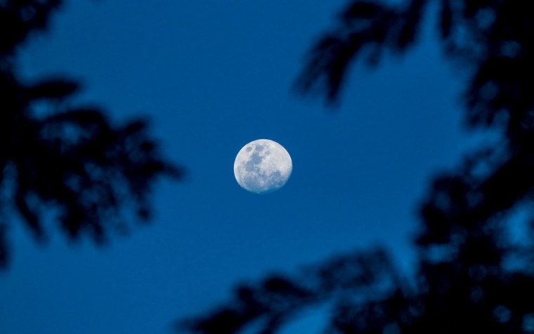 Караван в пустыне ночью