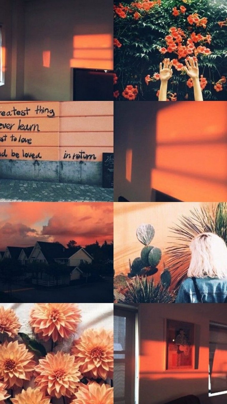 Эстетика оранжевого цвета коллаж