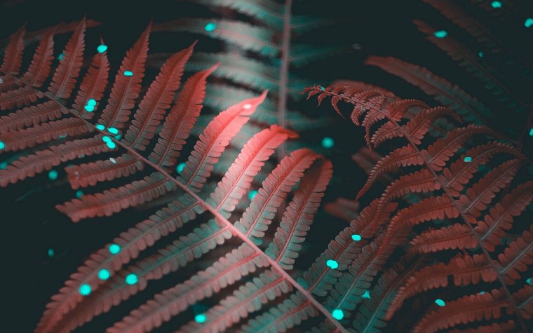 Эстетичный фон для презентации