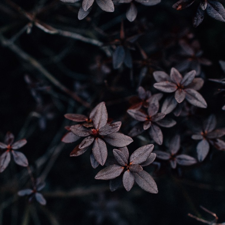 Космос Минимализм