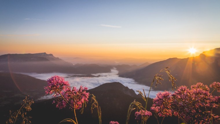 Треугольники в природе
