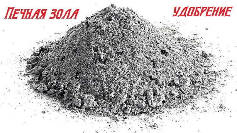 Зола подсолнечника, 1л