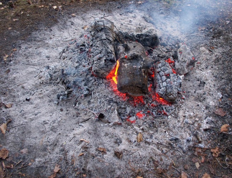 Зола в костре
