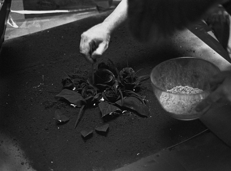 Цветок из пепла