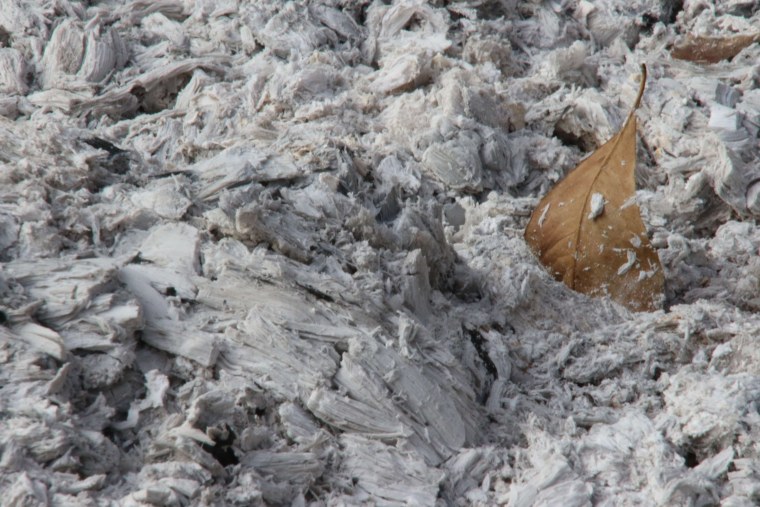 Пепел на листьях