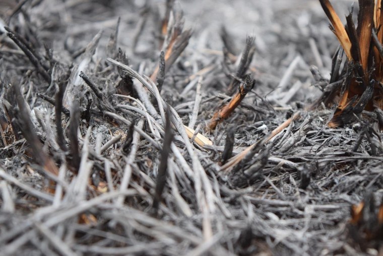 Пепел картинки