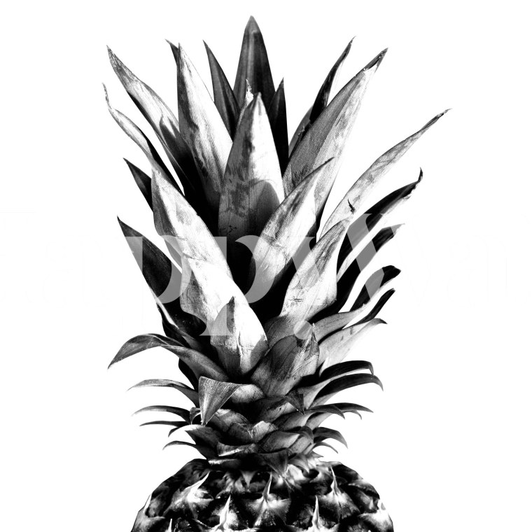 Белый ананас